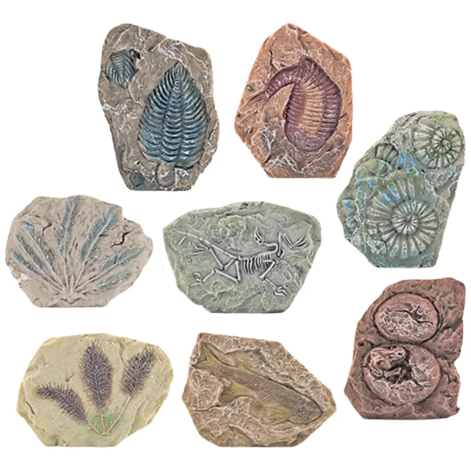 Zestaw Paleontologiczny Wykopaliska Blok Gipsowy Narzędzia - obrazek 2
