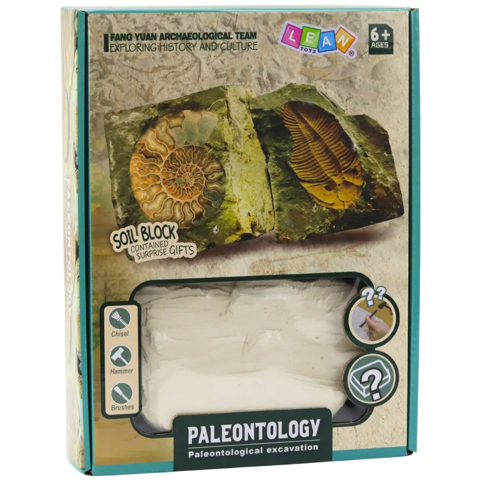 Zestaw Paleontologiczny Wykopaliska Blok Gipsowy Narzędzia - obrazek 5