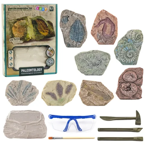 Zestaw Paleontologiczny Wykopaliska Blok Gipsowy Narzędzia