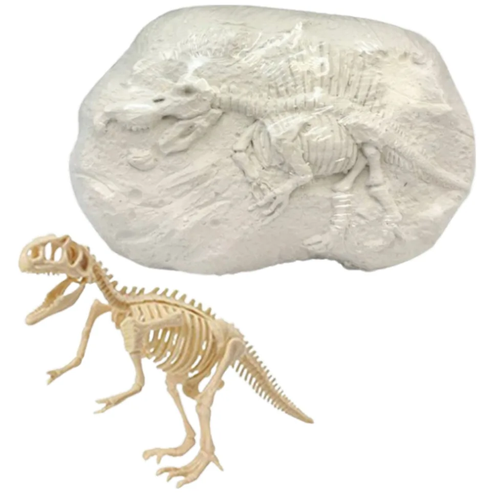 Zestaw Paleontologa Wykopaliska Szkielet Dinozaura Narzędzia - obrazek 2